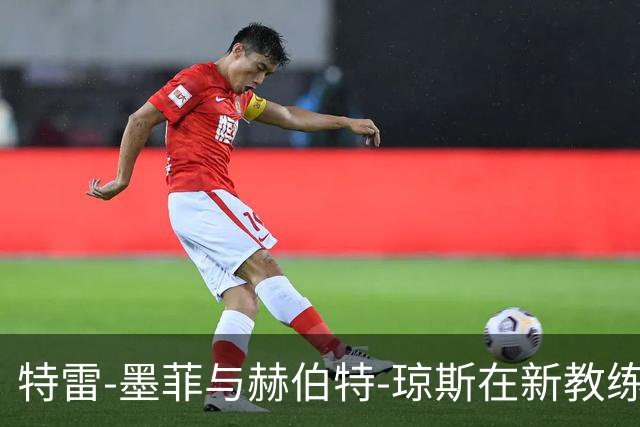 特雷-墨菲与赫伯特-琼斯在新教练指导下共同训练